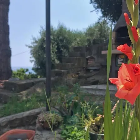 Isetta's House San Remo